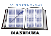 Logo de Collège privé mackevans de biankouma