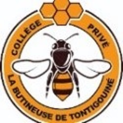 Logo de COLLEGE PRIVE LA BUTINEUSE DE TONTIGOUINE
